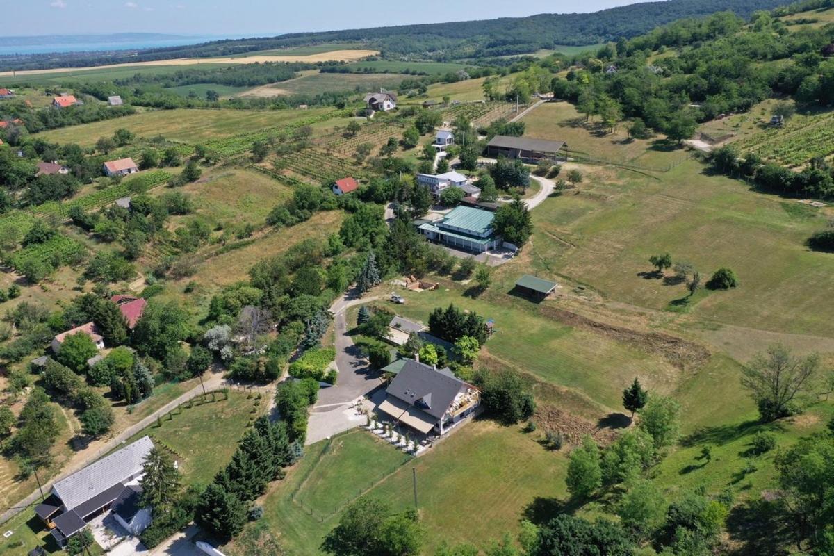 Borkuti Panzio Es Apartman Балатонсемеш Экстерьер фото